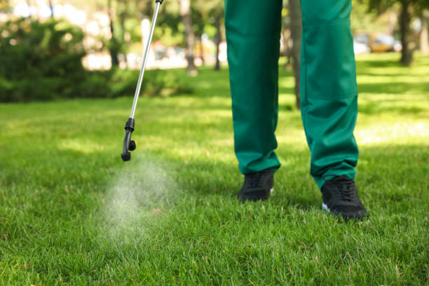 Best Cockroach Control Services  in Dothan, AL