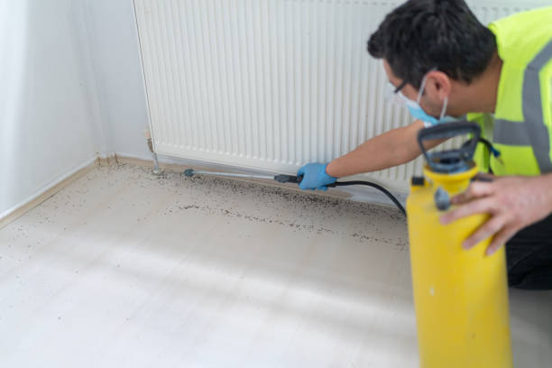 Best Flea Control Services  in Dothan, AL