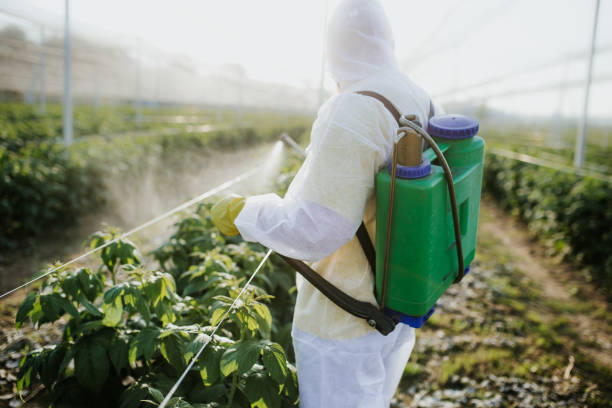 Best Exterminator Services  in Dothan, AL